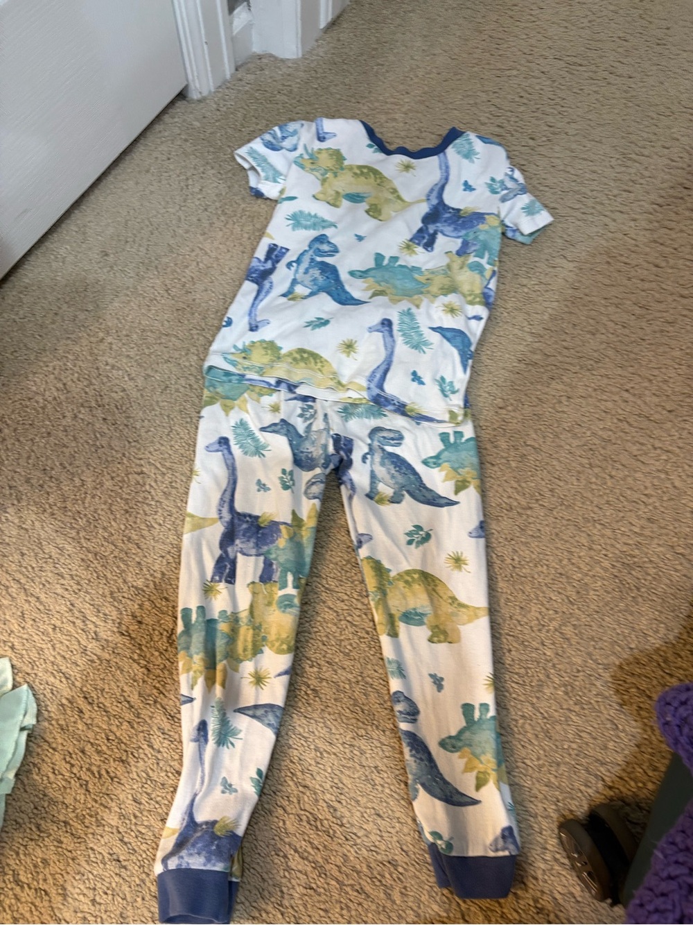 Burt's Bees Baby organic cotton Pajama Set with Blue and Green Dinosaur Print